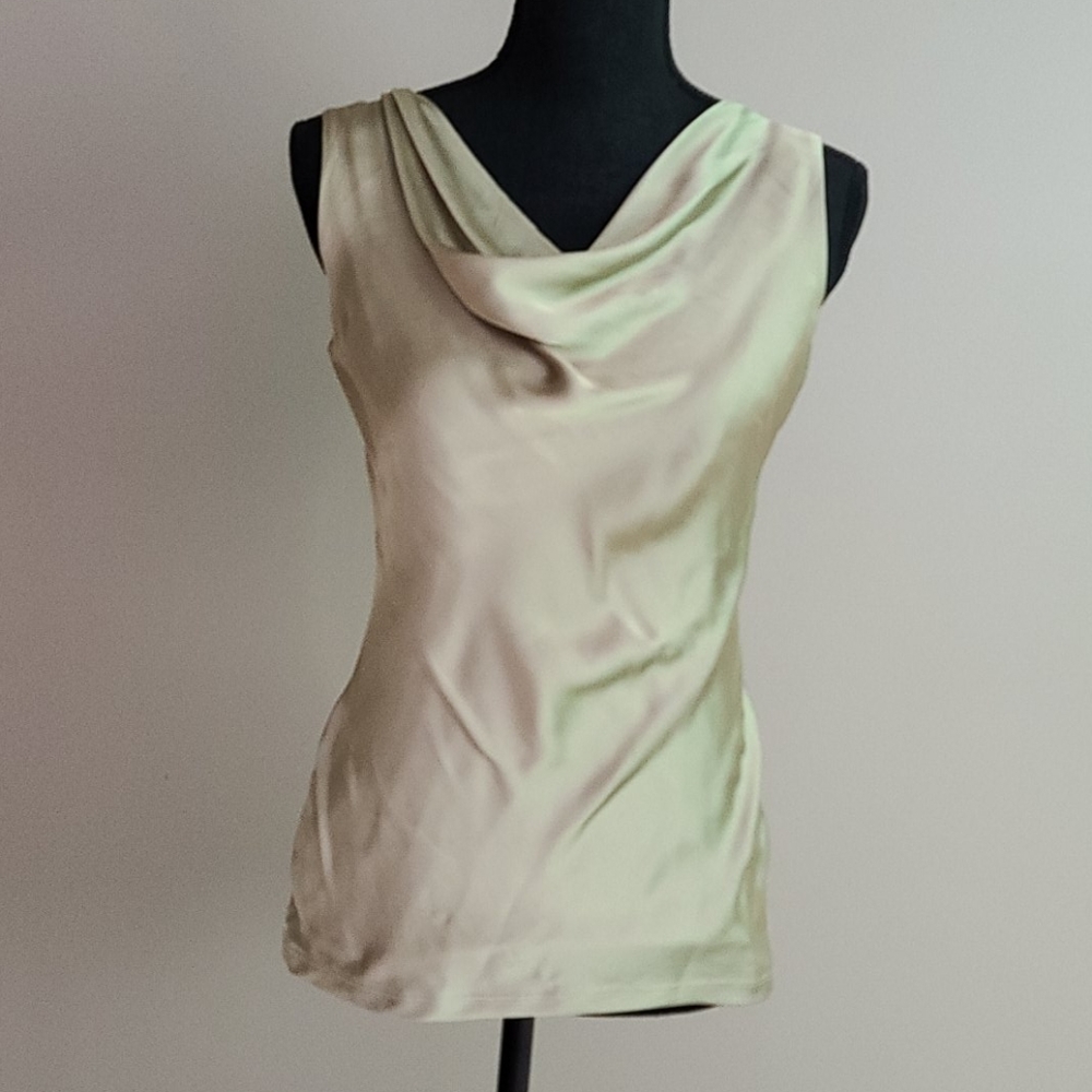 The Limited Silky Tan Blouse